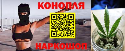 сатива Ставрополь