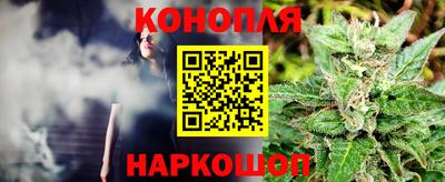 сатива Ставрополь