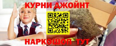 сатива Ставрополь