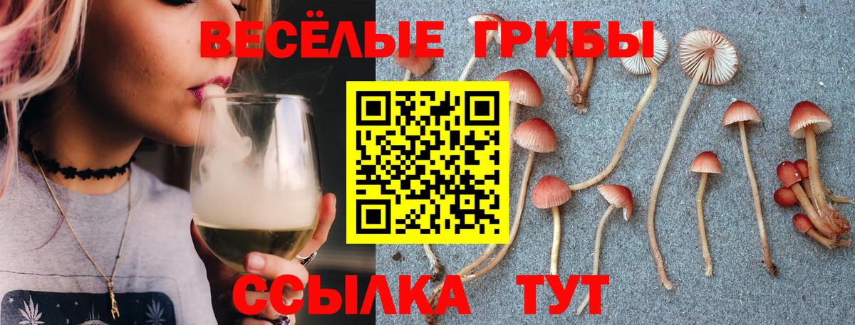 Урюпинск  Псилоцибиновые грибы Psilocybine cubensis  Галлюциногенные грибы Psilocybe  Вход с VPN 