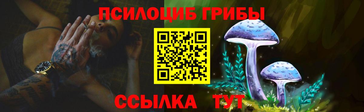 Галлюциногенные грибы Psilocybine cubensis Урюпинск